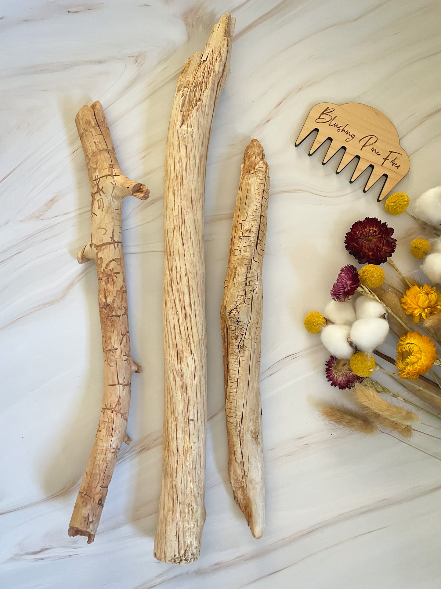 Arizona Driftwood & Cholla Wood