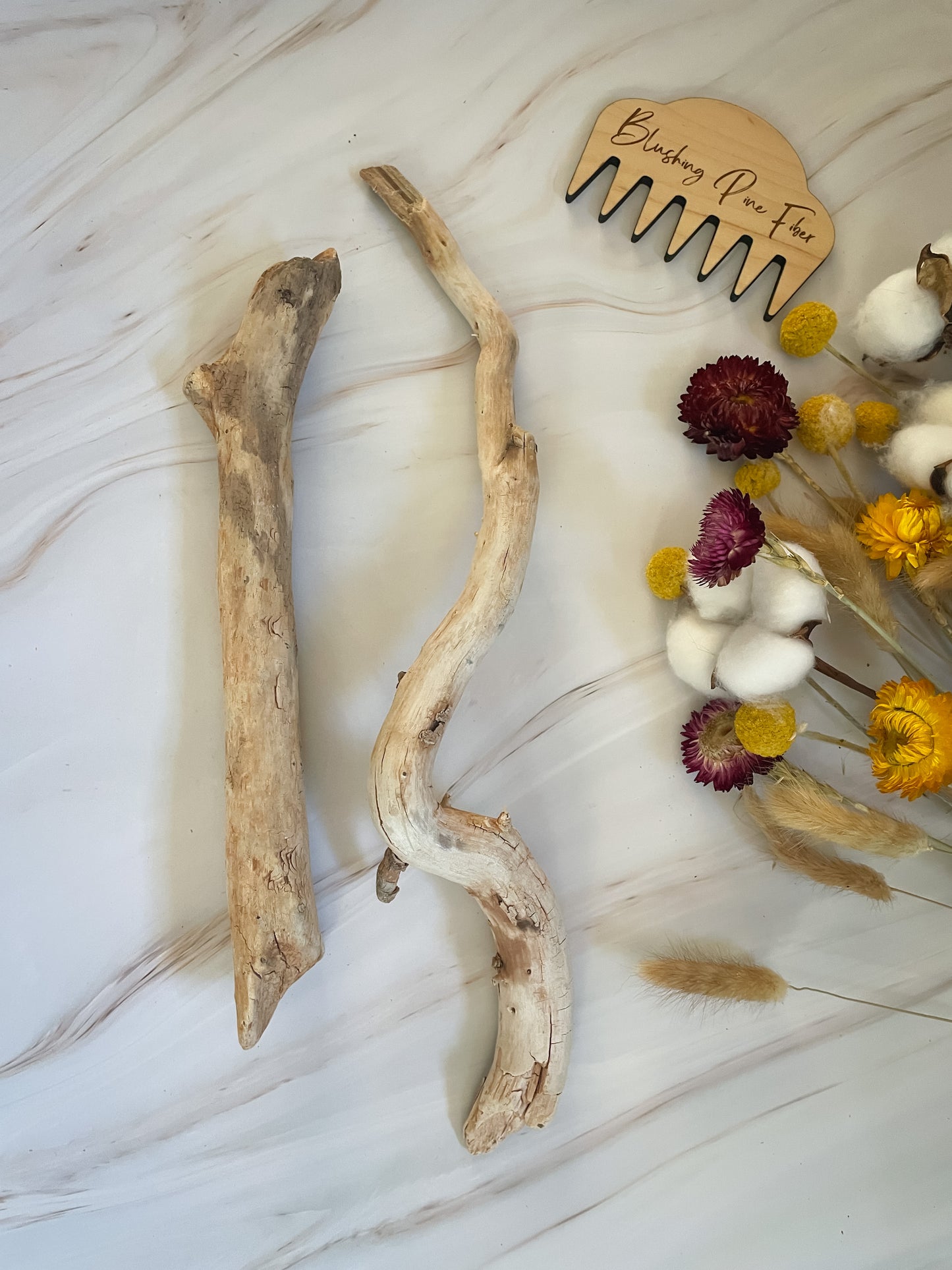 Arizona Driftwood & Cholla Wood