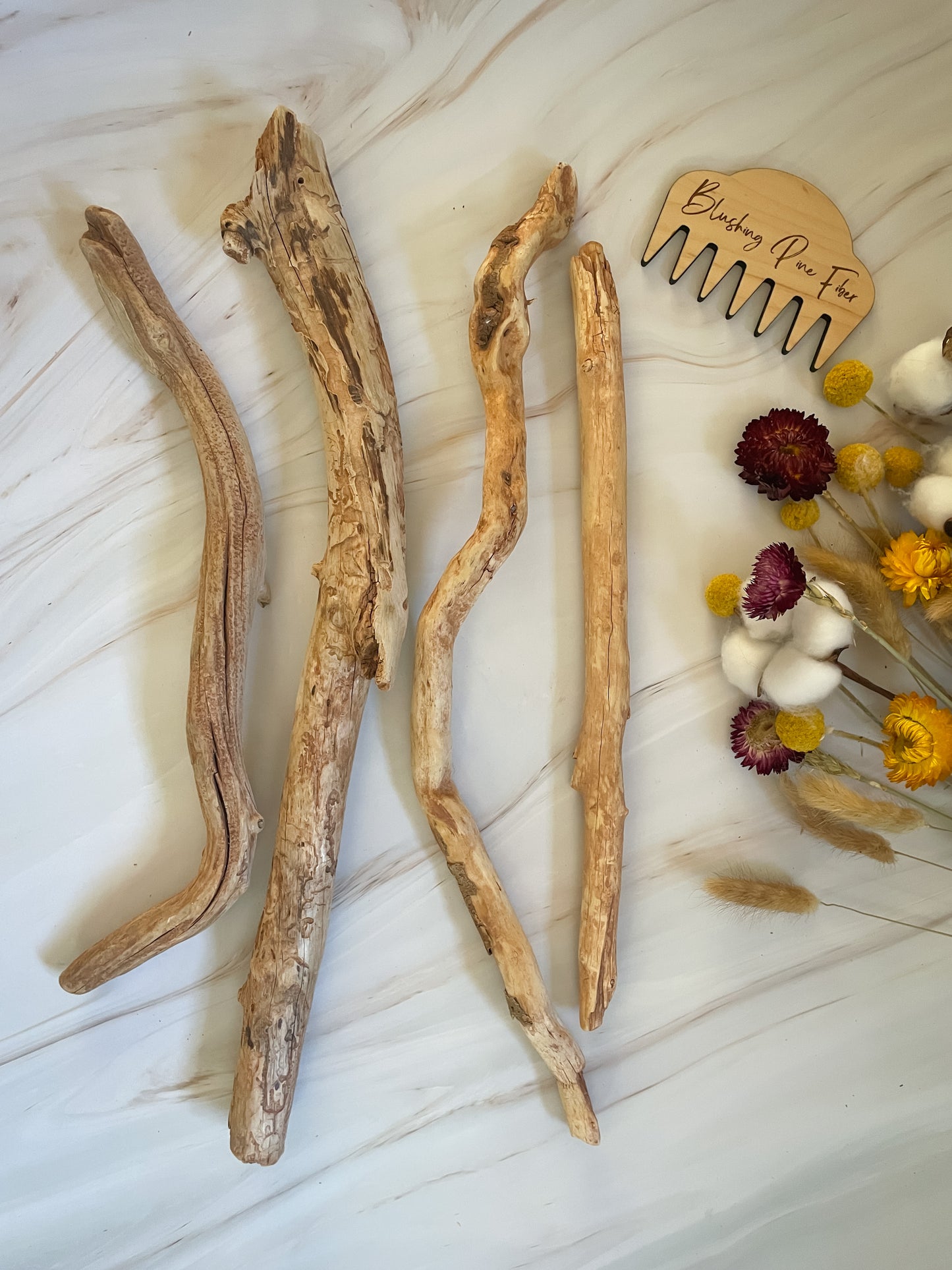Arizona Driftwood & Cholla Wood