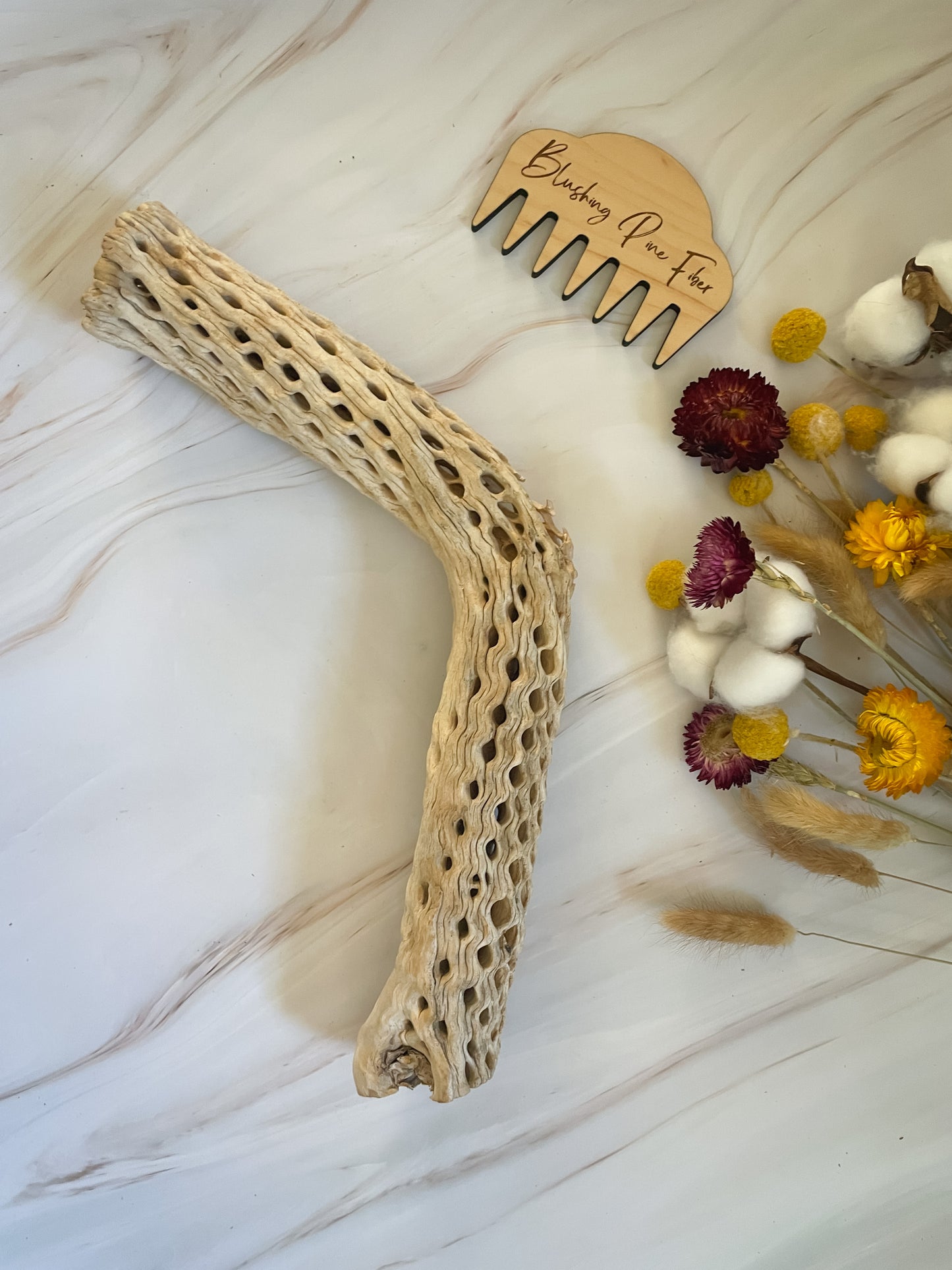 Arizona Driftwood & Cholla Wood