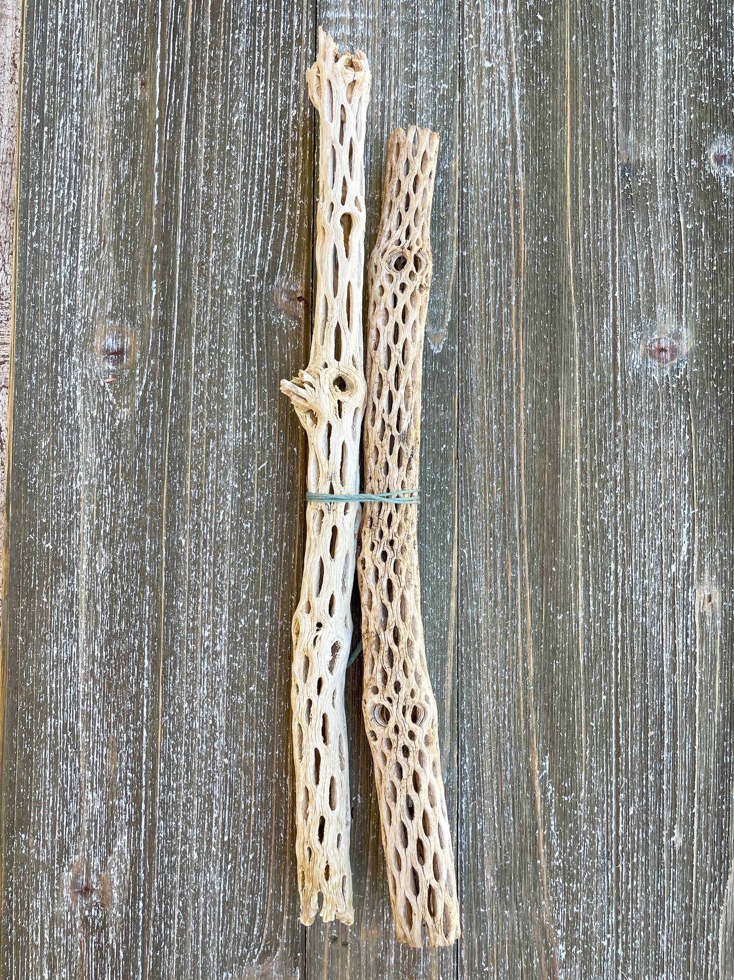 Arizona Driftwood & Cholla Wood