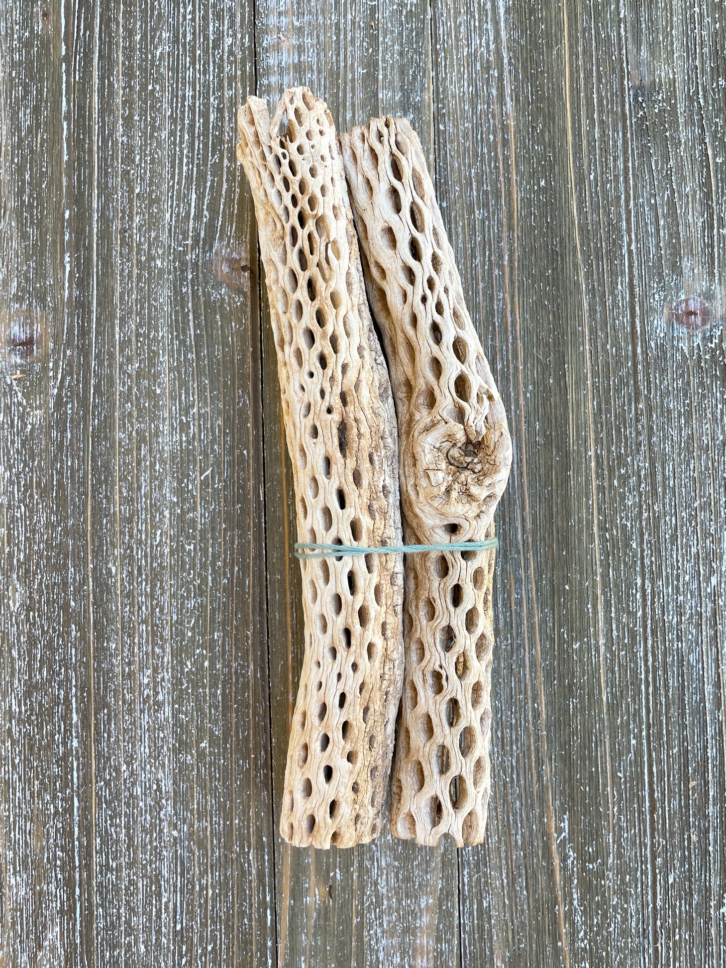 Arizona Driftwood & Cholla Wood
