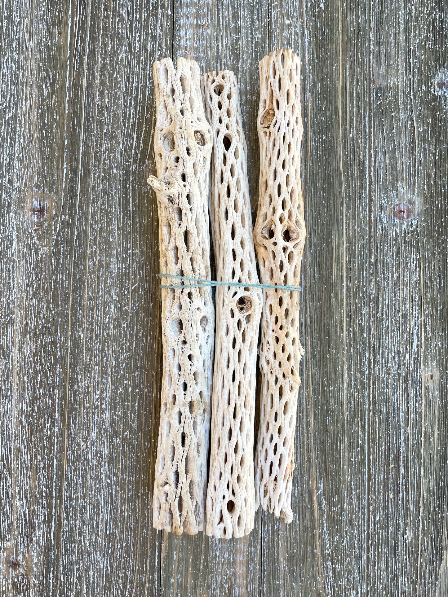 Arizona Driftwood & Cholla Wood
