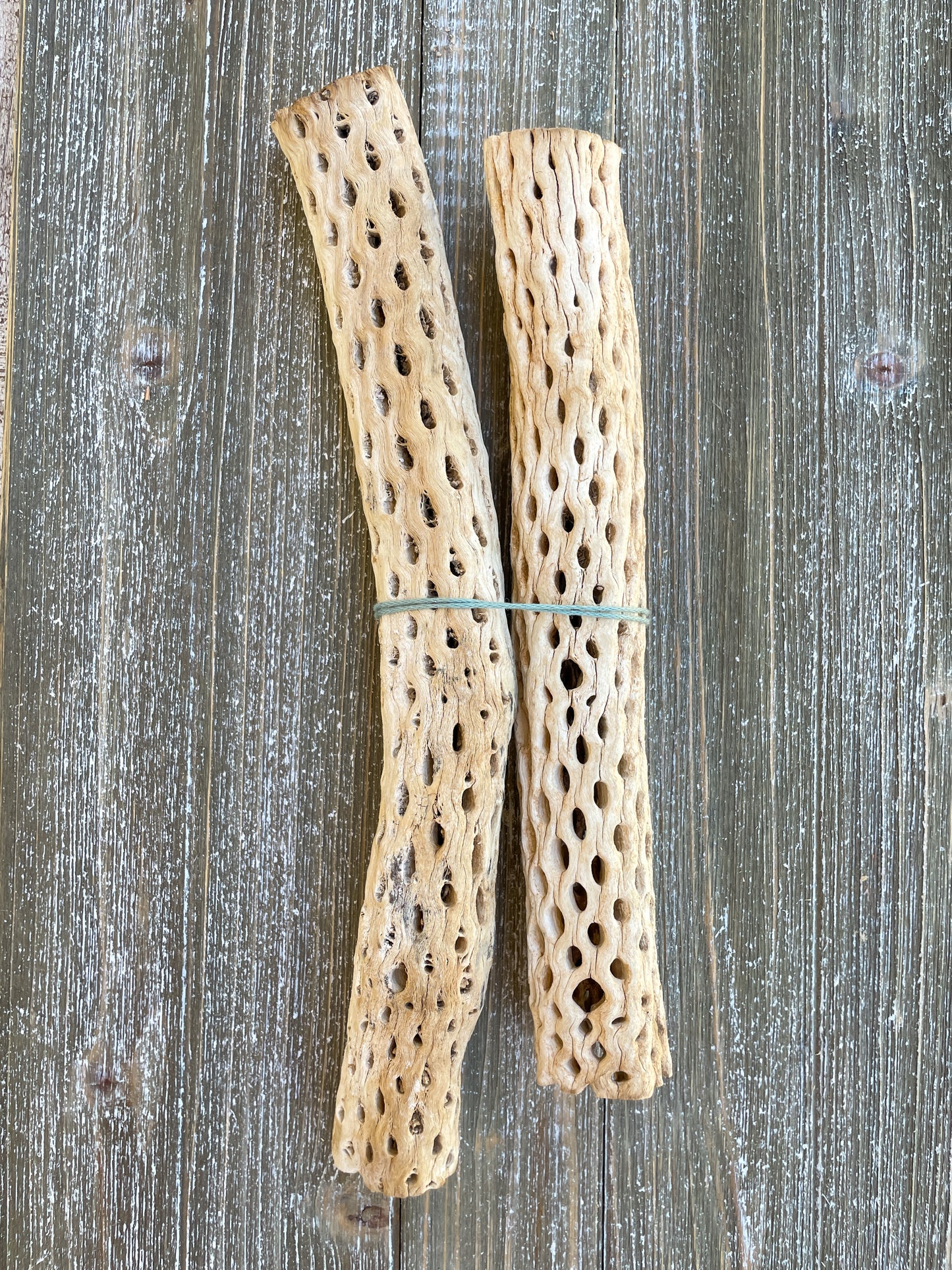 Arizona Driftwood & Cholla Wood