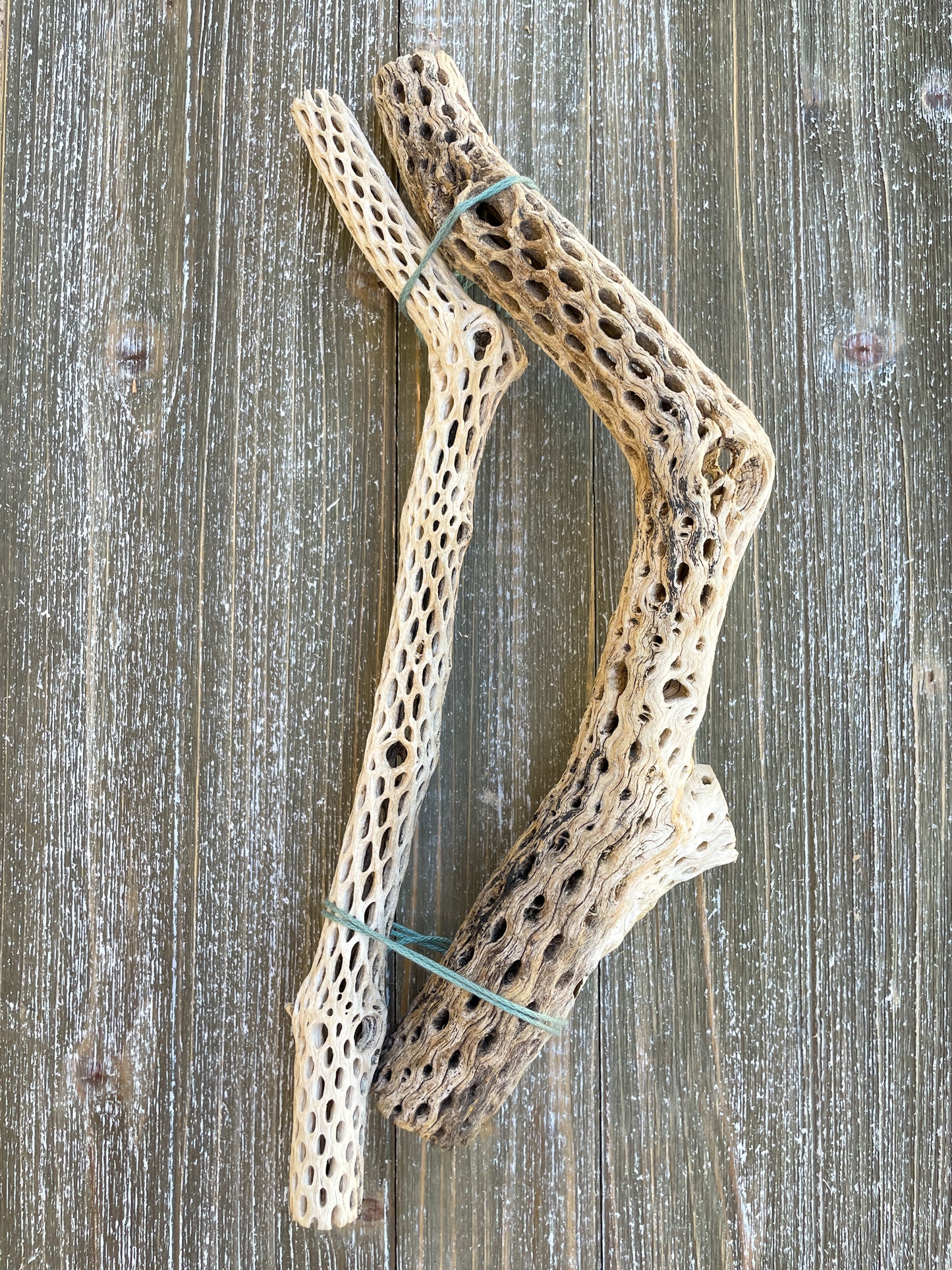 Arizona Driftwood & Cholla Wood