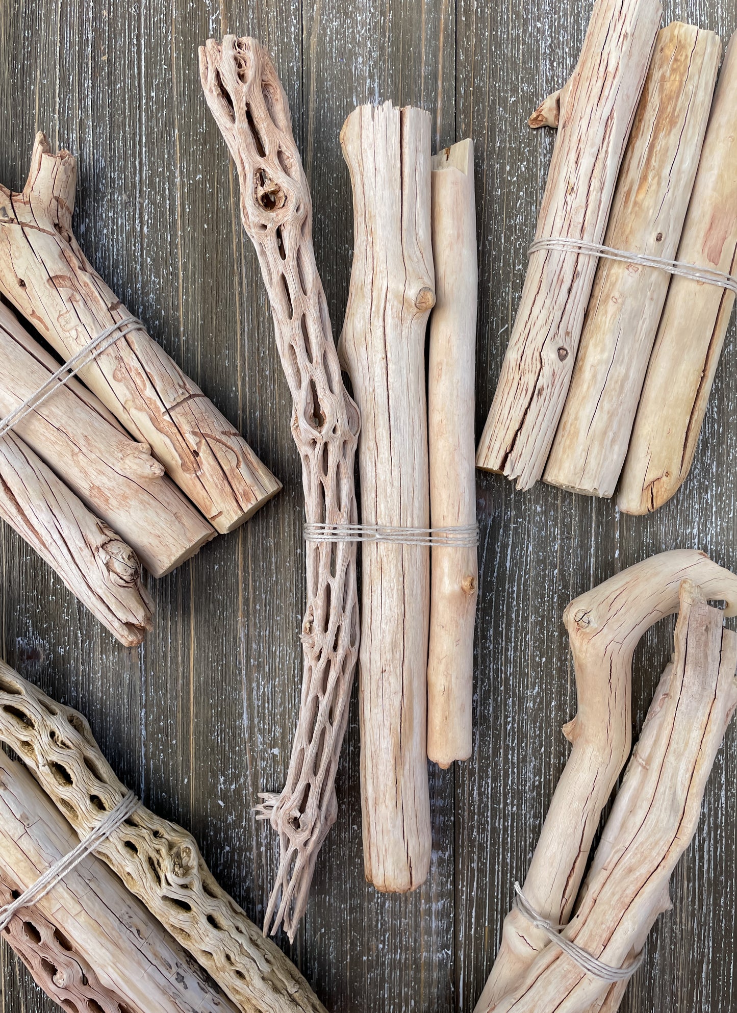 Arizona Driftwood & Cholla Wood