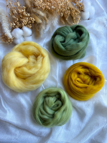 Wool Roving Bundle 1