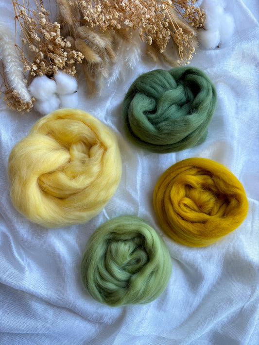 Wool Roving Bundle 1