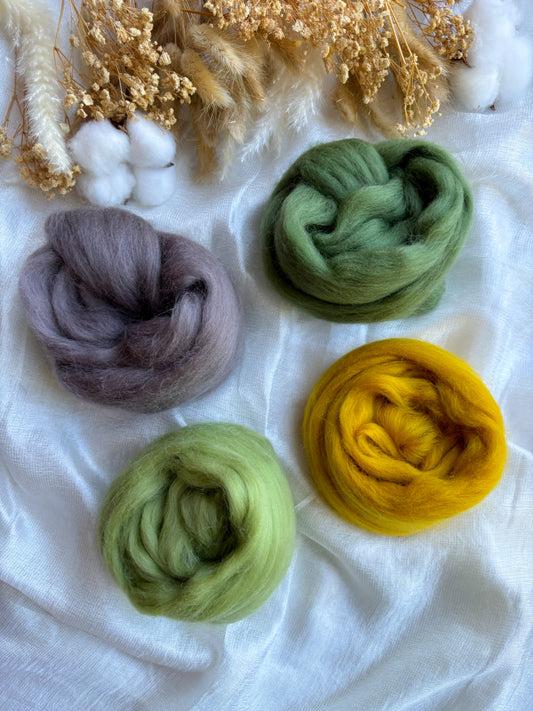 Wool Roving Bundle 2