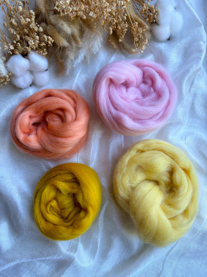 Wool Roving Bundle 12