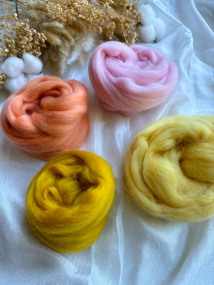 Wool Roving Bundle 12