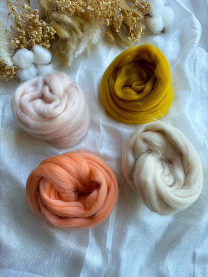 Wool Roving Bundle 20